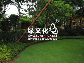 园林绿化养护 守护城市绿色生态的关键之道