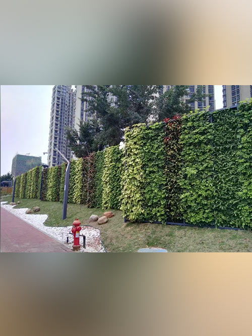 北京城市绿化养护的现状与优化策略