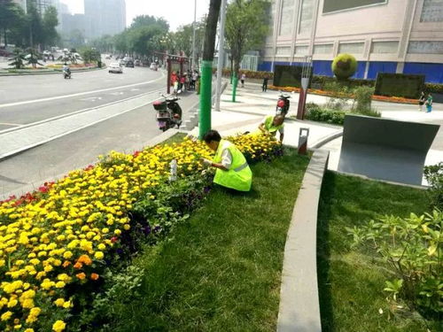 学习绿化经验 提升城市品质——全省园林城市创建及绿化养护管理观摩团到灞桥区参观学习