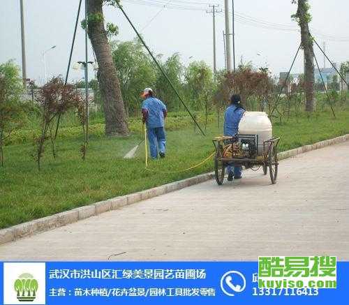 武汉酷易搜 精细绿化养护，绘就城市生态画卷