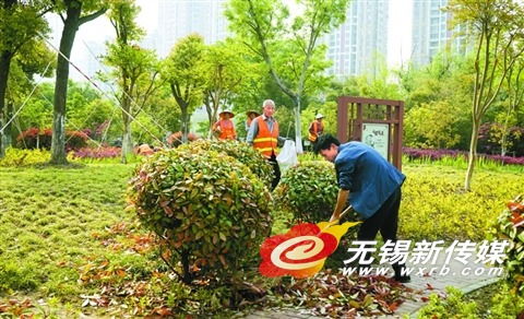 无锡滨湖志愿者共绘绿色家园 参与绿化养护，清理枯死苗木