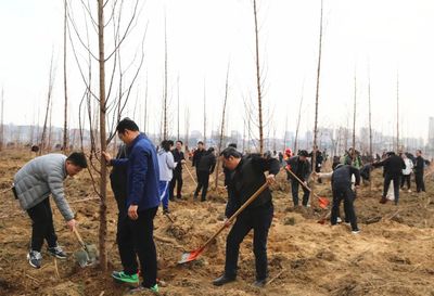 孝昌 植树正当时 万株新绿美城乡 绿化养护精益求精