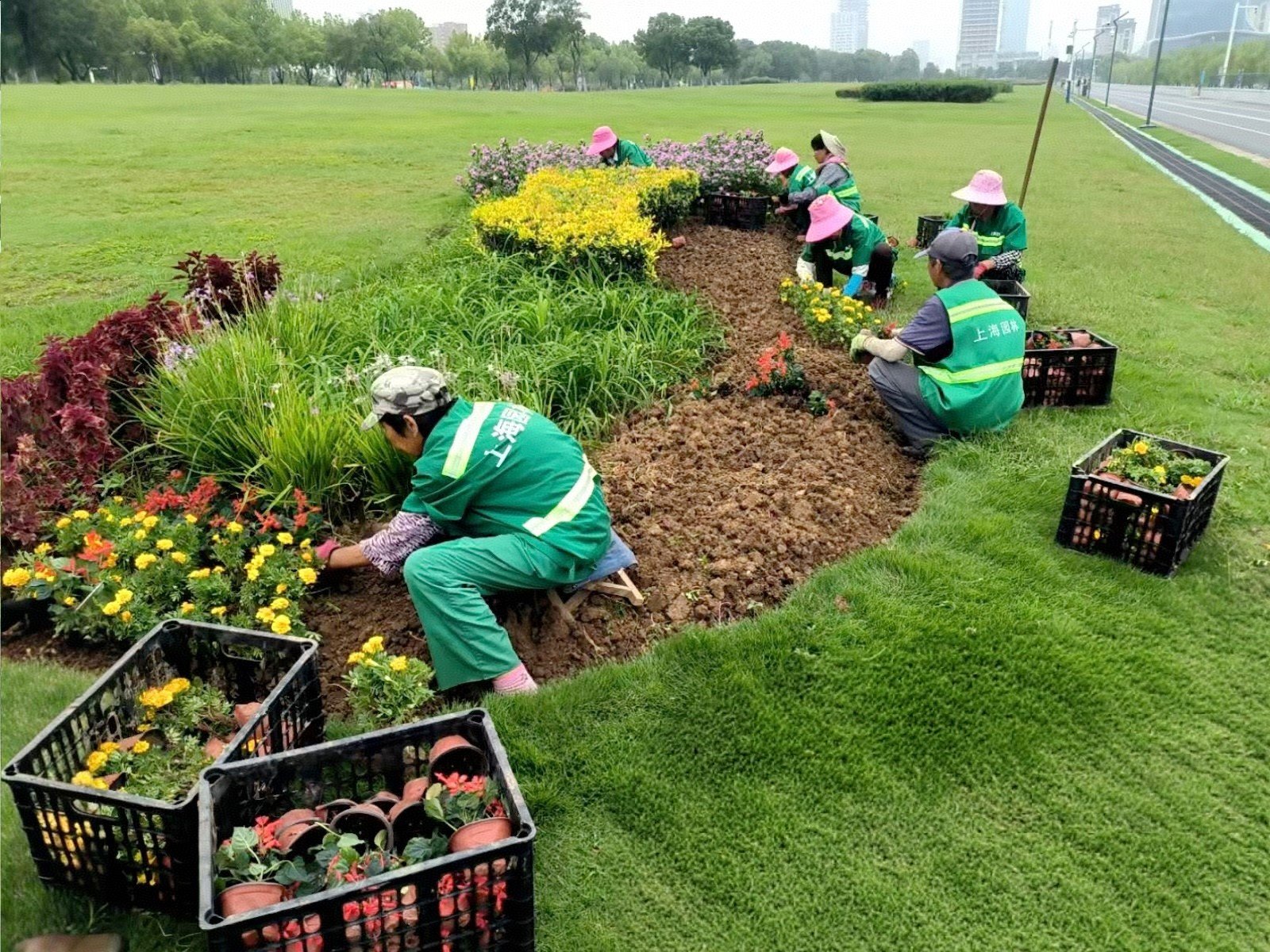 精细养护正当时 合肥高新区秋季补植“焕新”城市“颜值”